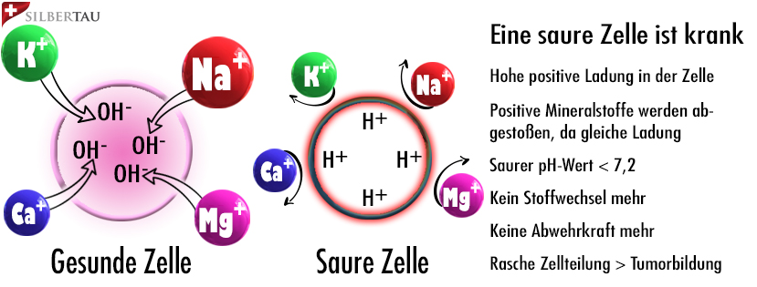 Eine saure Zelle ist Krank Eine saure Zelle ist Krank