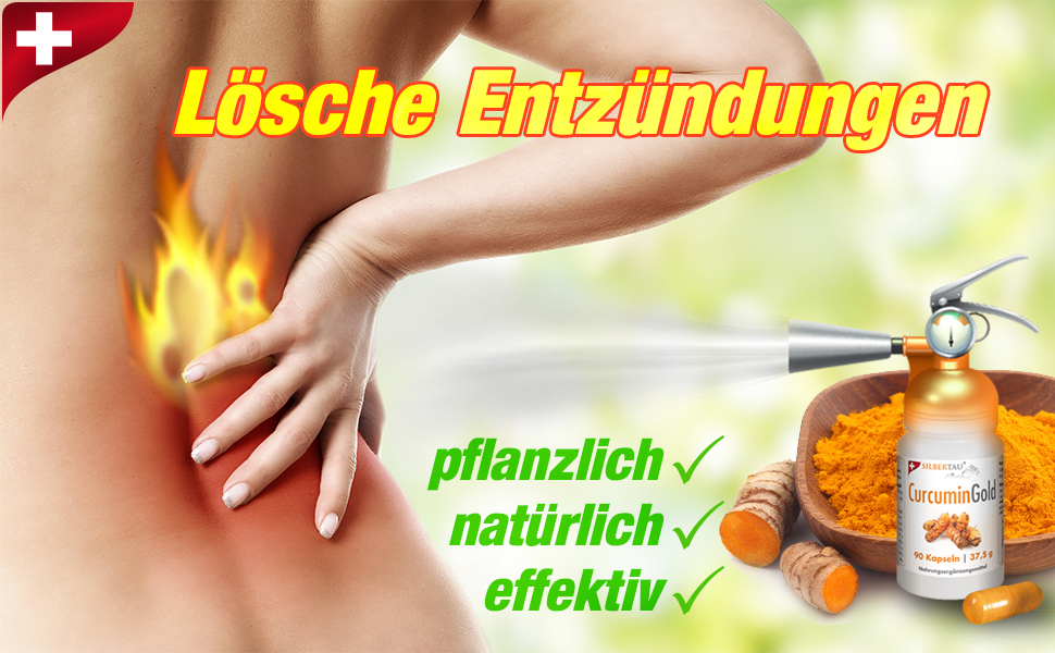 Curcumin Gold 90 Kapseln - Curcumin plus Piperin Curcumin Gold 90 Kapseln - Curcumin plus Piperin