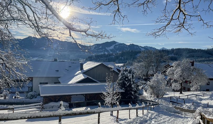 Hotel Rose im Schnee